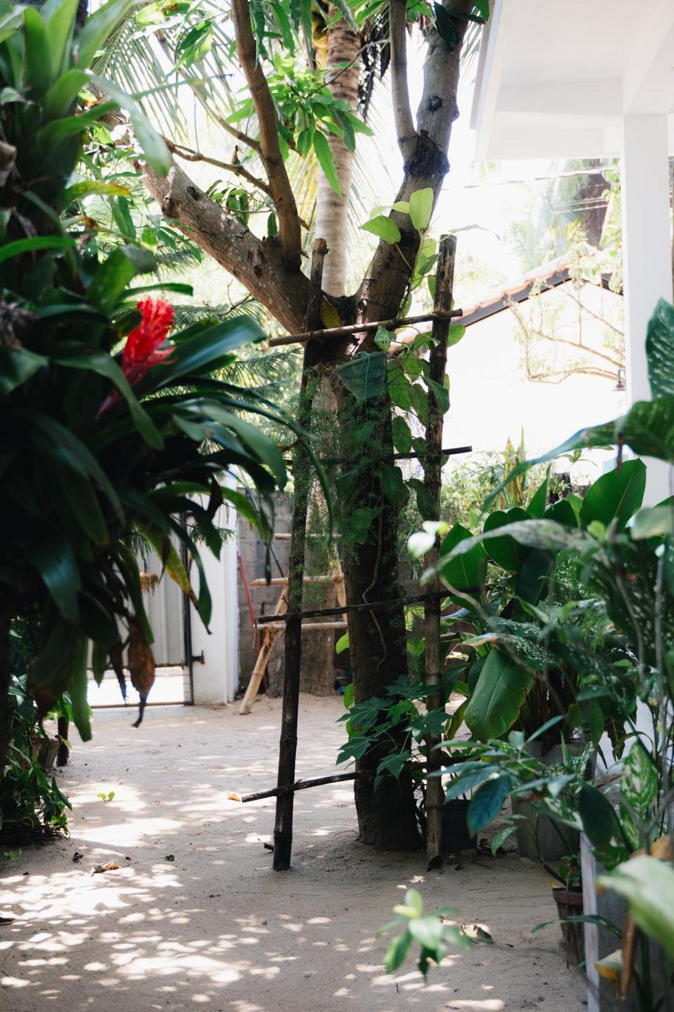 Tropicana Home Stay Arugam Bay Esterno foto