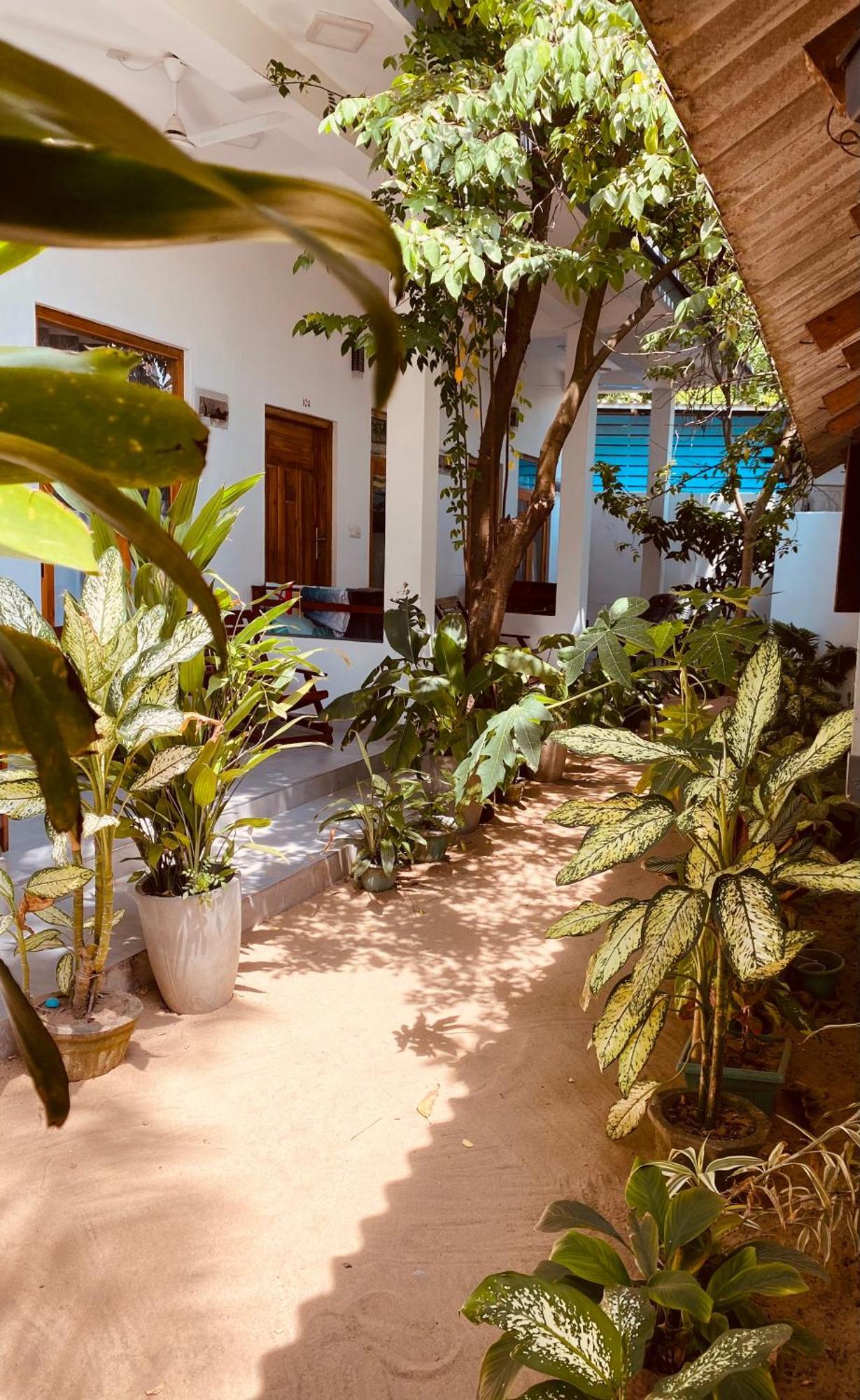 Tropicana Home Stay Arugam Bay Esterno foto